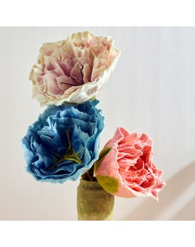 Pivoine XXL
