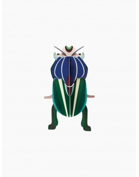 mimela scarab beetle