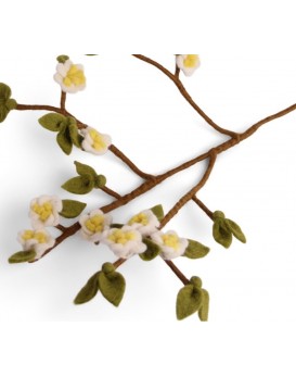 Branche de pommier