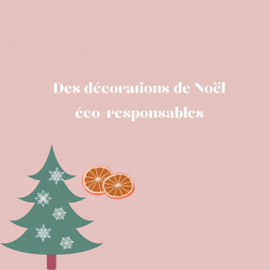 |Noël| Qui a testé les oranges séchées pour décorer son sapin? 
Et le Blanc de Meudon pour dessiner sur les vitres? 
D’ailleurs, vous savez ce que c’est? C’est un blanc à base de craie qui était extrait des carrières de Meudon, près de Paris, jusqu’en 1925. 

On vous donne ici quelques astuces pour se mettre au diapason de Noël le plus naturellement possible🎄

#noelecolo #noeldecoration #decorationecologique #greenchristmas #reduiresesdechets #mieuxconsommer